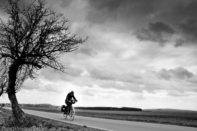 Elberadweg Meißen - Torgau | Reiseblog by (c) die Schnappschützen - Sturmböen im März: Frust auf offenem Felde