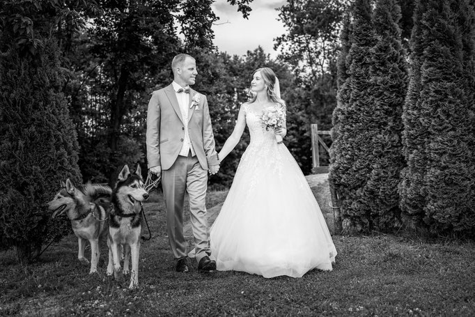 Brautpaar mit 2 Huskys