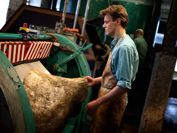 Entfleischen Auf der Entfleischmaschine wird die zuvor im Äscher gequollene Haut mit Hilfe eines Messerzylinders bei 1.800 Umdrehungen pro Minute von Fett und Fleisch befreit.