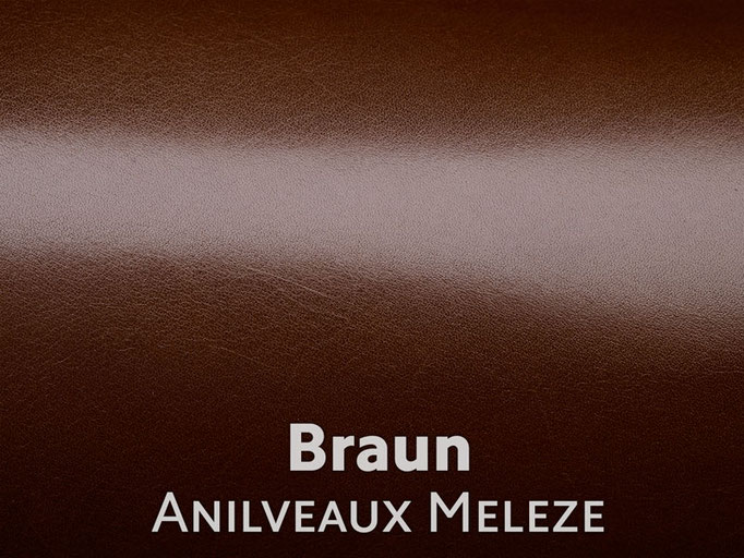 Boxcalf (Frenchcalf Anilin) braun