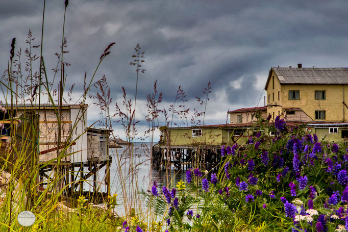 Bild: Henningsvaer - view on Vestfjord, Lofoten, Norway; "Vestfjord flowers"; www.2u-pictureworld.de