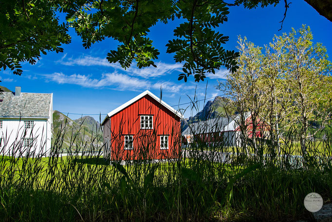 Bild: kirk garden Flakstad; Flakstadoya, Lofoten Norway, "Kirchgarten"; www.2u-pictureworld.de