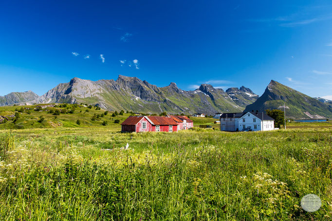 Bild: meadow next to Flakstad, Flakstadoya Island, Norway; "Wiesenträume"; www.2u-pictureworld.de