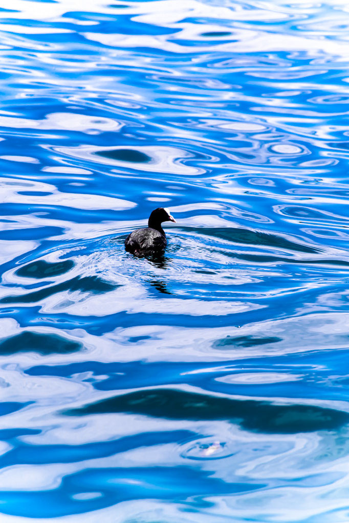 Lake of Constance