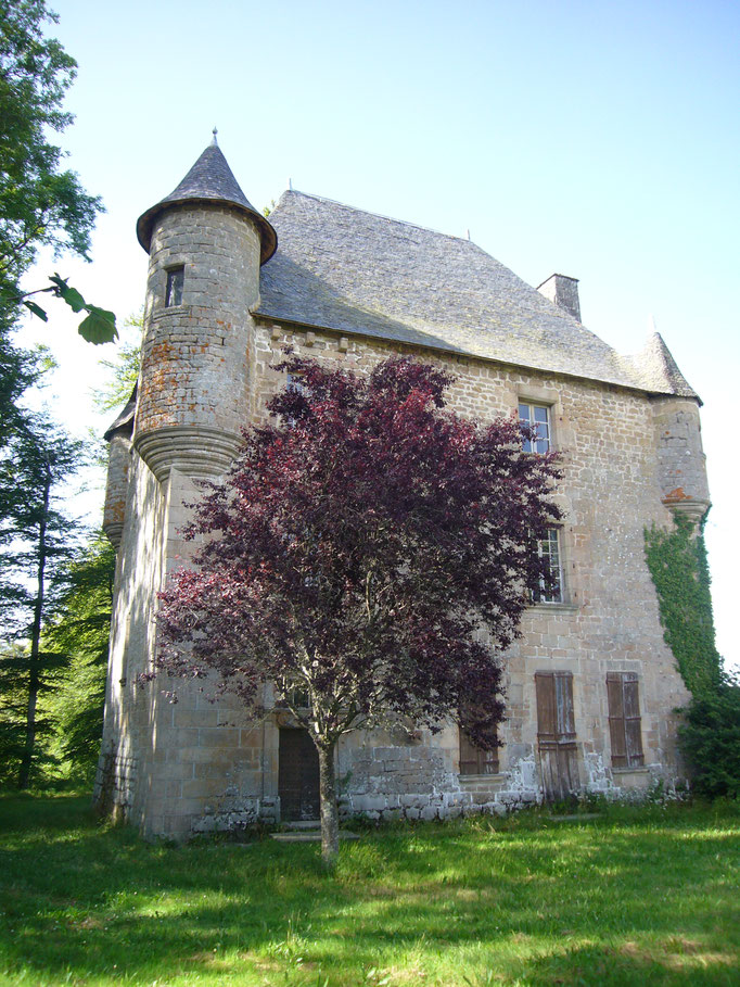 Le château du Mazeau.