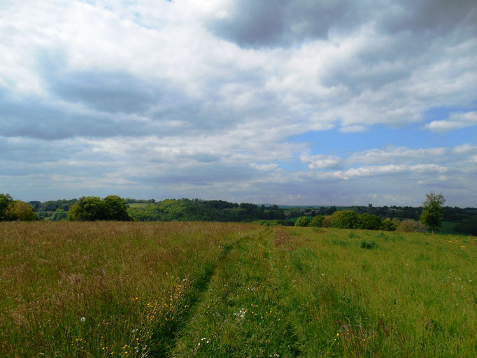 Plateau de Reirol offrant une vue à 360°, jusqu'à la commune de Glanges.