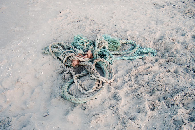 Irgendeinen Strandfund entdeckt man immer