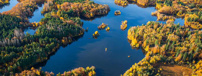 Plateau 1000 etangs la petit finlande