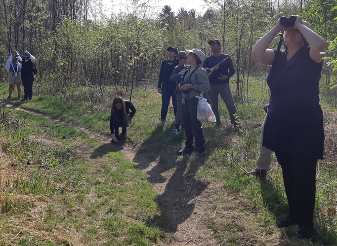 Ateliers Faune.