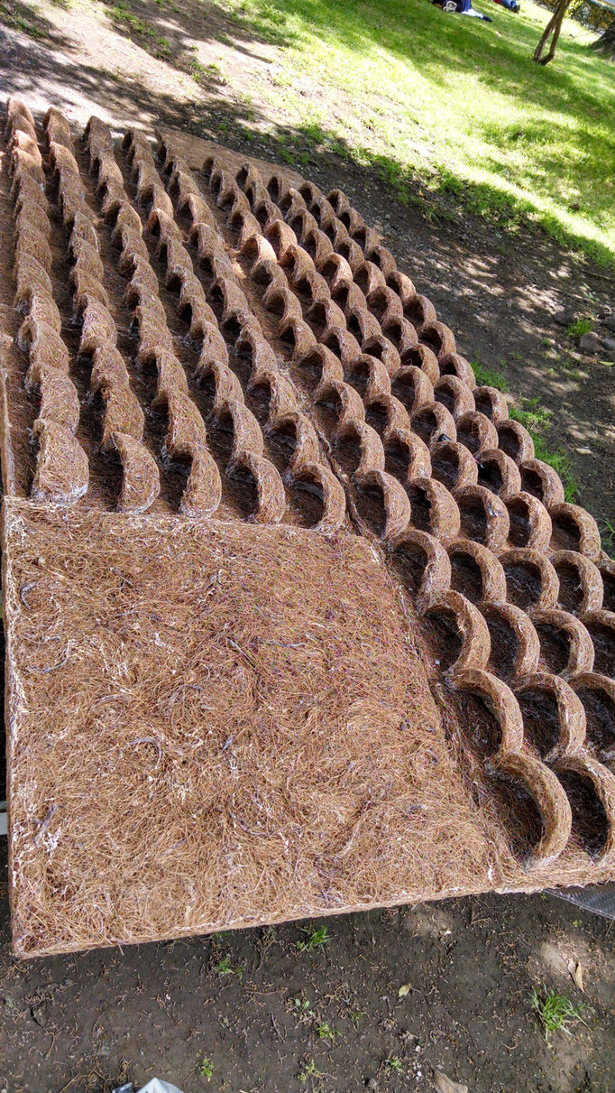 fibra de coco, jardin vertical,