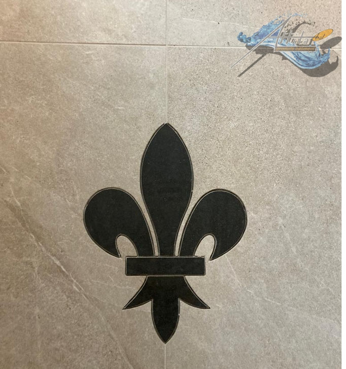 Chantier réalisé avec Disque FAYDIS 