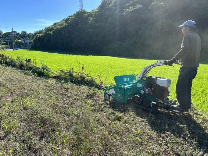 草刈り、伐採、剪定、薪販売 - 【見積り無料】三宅クイック