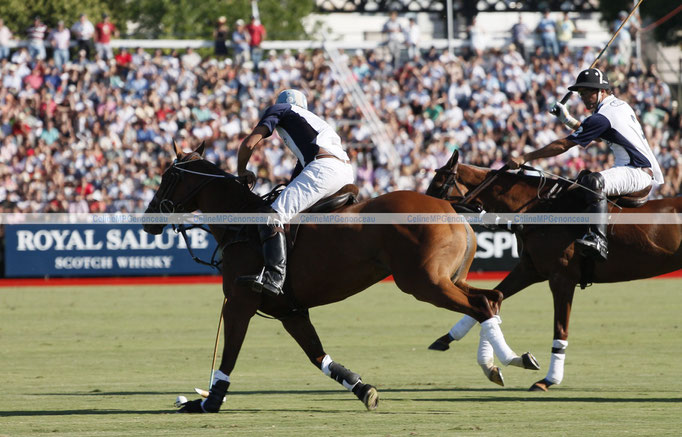 Polo Sport Argentina Photo83