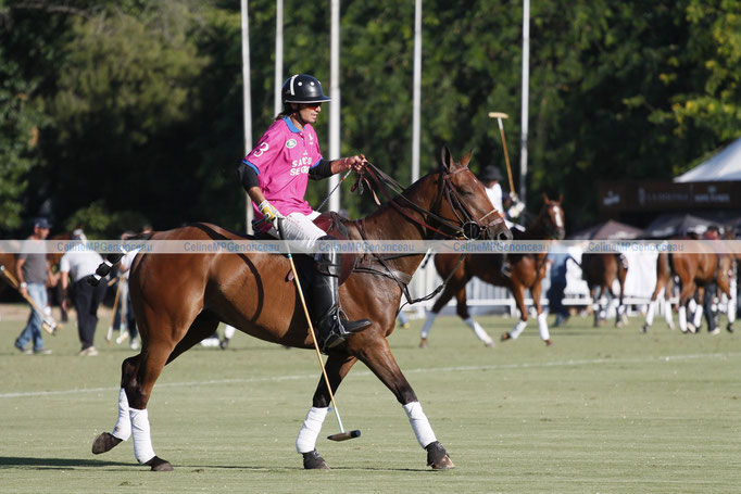 Polo Sport Argentina Photo82