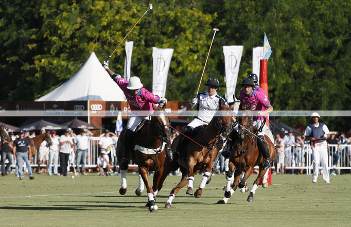 Polo Sport Argentina Photo79