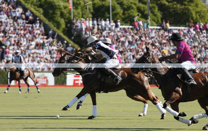 Polo Sport Argentina Photo69