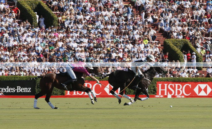 Polo Sport Argentina Photo66