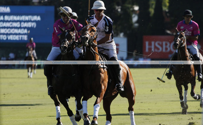 Polo Sport Argentina Photo76