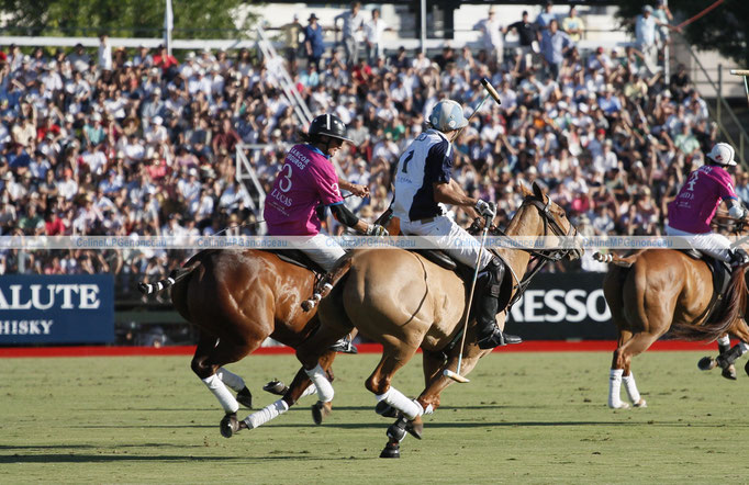 Polo Sport Argentina Photo81