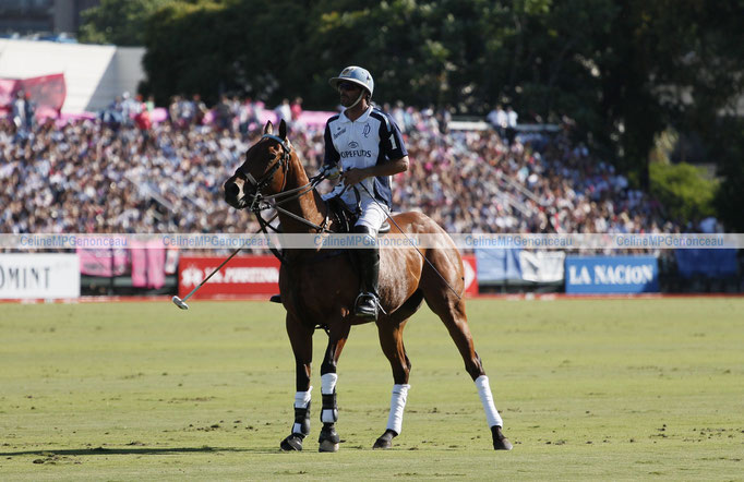 Polo Sport Argentina Photo65