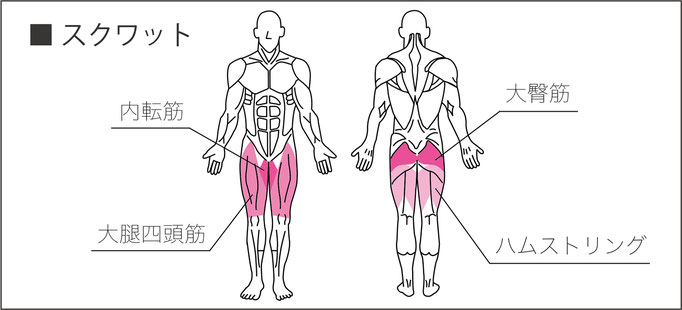 スクワット