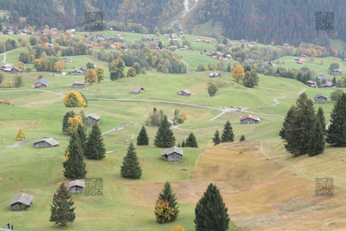 Orienteering Worldcup Final Grindelwald 2017