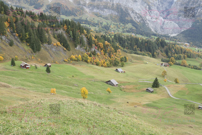 Orienteering Worldcup Final Grindelwald 2017