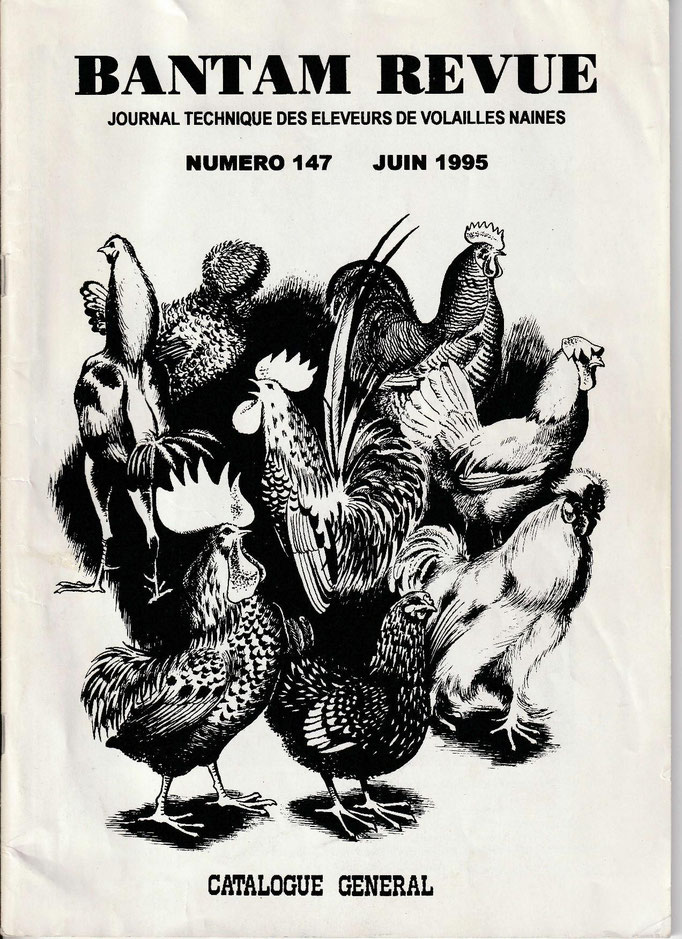 Sommaire :