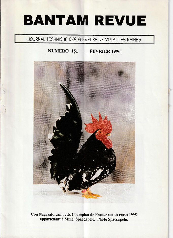 Sommaire :