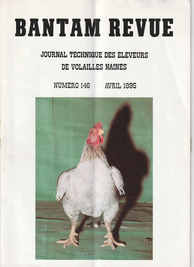 Sommaire :