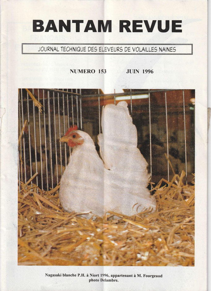 Sommaire :