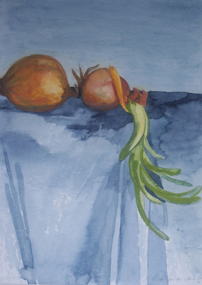 Zwiebeln, 2001, Aquarell auf Papier, 30 x 40 cm