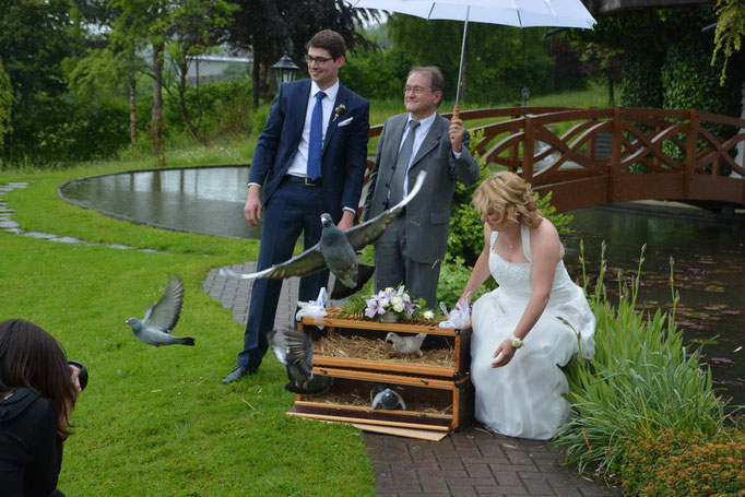 Hochzeitstauben - Hochzeitsbilder