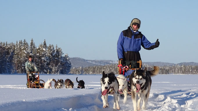 Schlittenhundetouren im wunderschönen Lappland