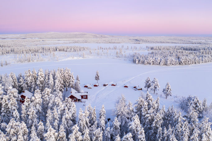 Lapplands Drag Huskyfarm in Lappland