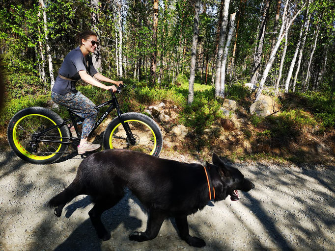 Fahrradfahren/Fatbike mit Hund