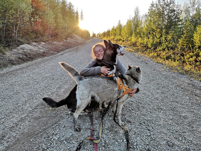 Spaziergänge mit den Huskys