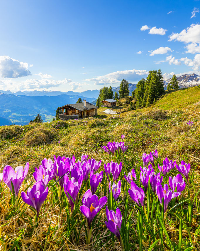 Brunnalm und Heubergalm_©FranzKupfner