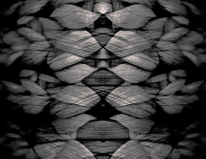 EVOLUTION (2009, MP0092) © Michael Pfenning