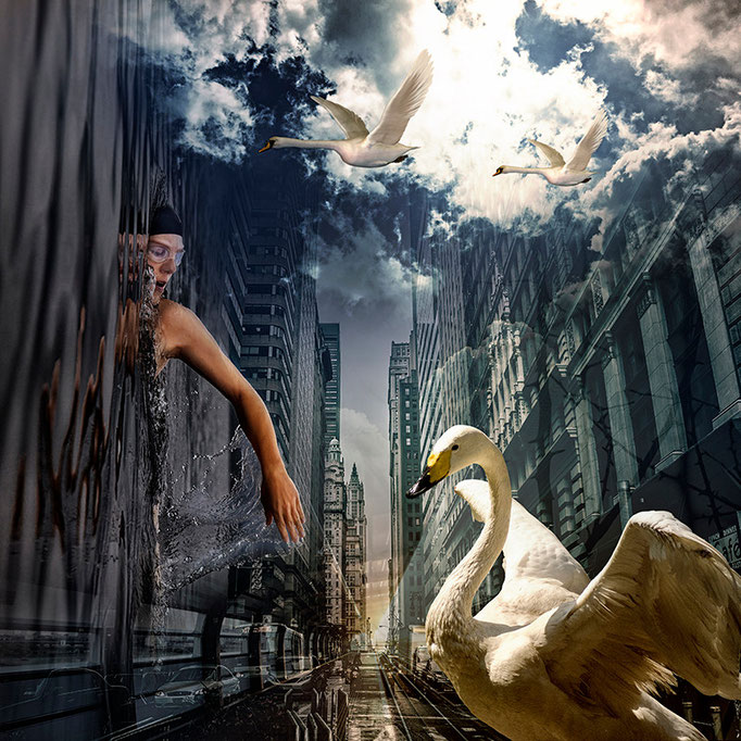 Wings © kaleidoscope king 2016