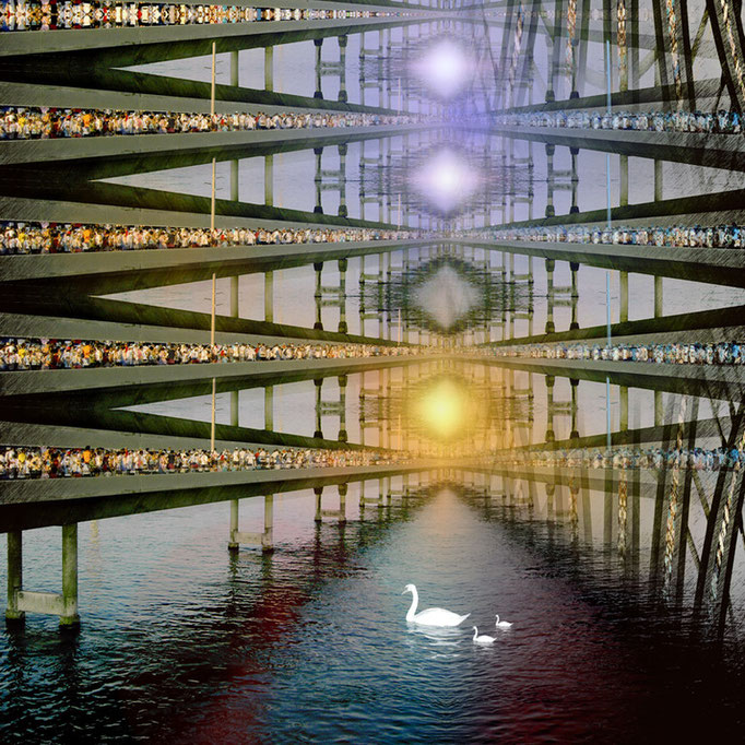 Swan © kaleidoscope king
