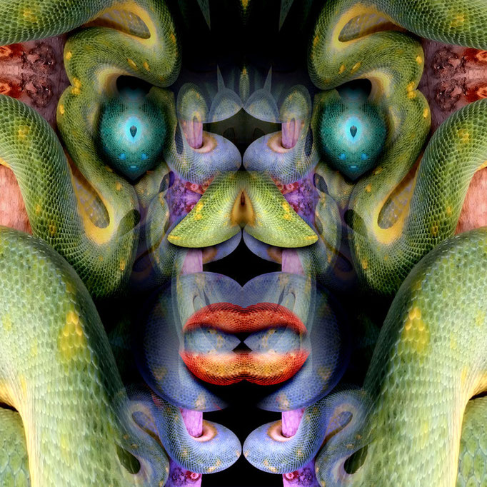 Snake face © kaleidoscope king