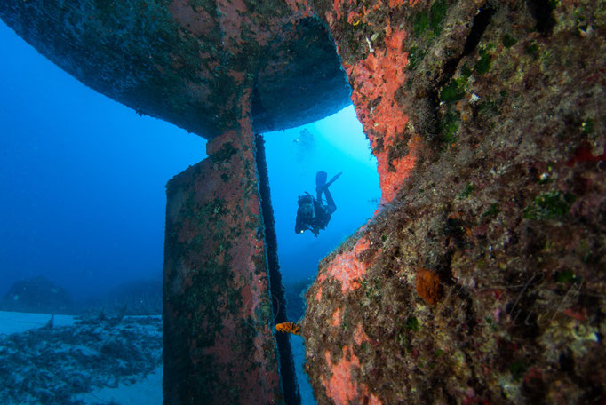 "Rozi", Gozo/Malta