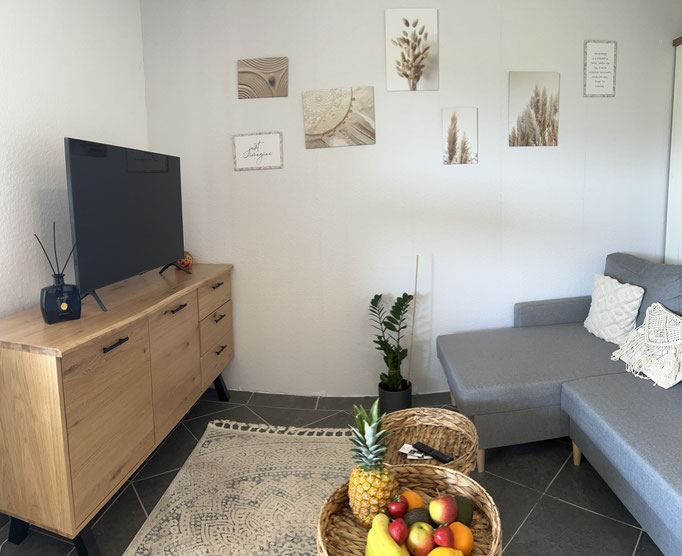 Kleines, gemütliches Wohnzimmer mit grauer Eckcouch, Holztv-Kommode und dekorativen Wandbildern in unserer FeWo in Winterberg. Auf dem Couchtisch steht ein Korb mit frischem Obst. Eine Zimmerpflanze und ein Teppich runden das wohnliche Ambiente ab.