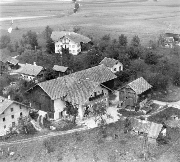 Steinbrünning