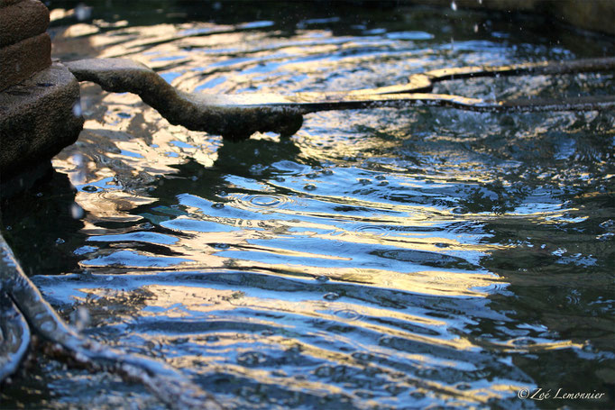 Fontaine de la place de la mairie