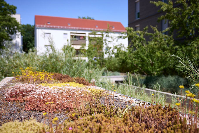 Fotograf München: Naturnahe Gestaltung einer Wohnanlage in Nürnberg