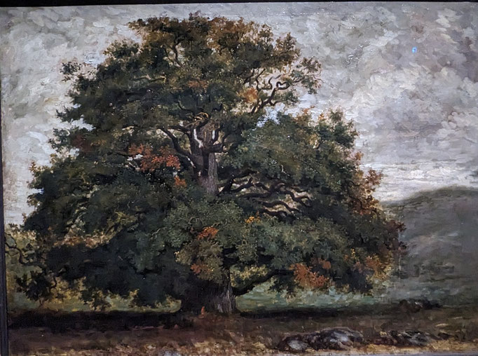 Arbre dans la forêt de Fontainebleau, 1840-1849 (Londres, Victoria and Albert Museum).