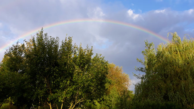 14.08. Ein ganzer Regenbogen über Maison Libellule