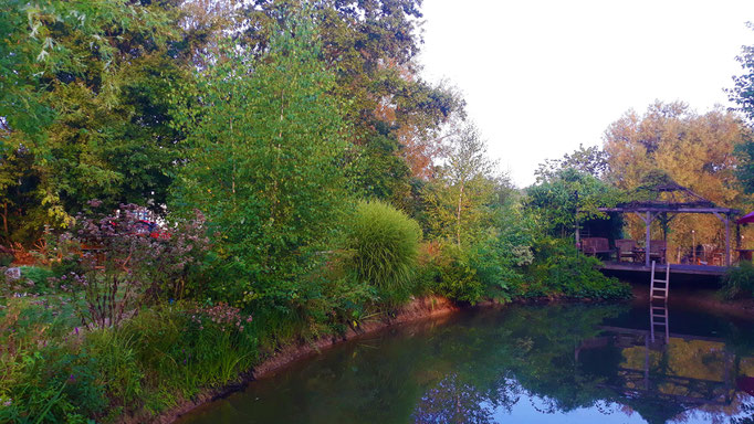 28.08. Die Pflanzen um den Teich herum gelangen mit ihren Wurzeln bis zum Wasser hinunter